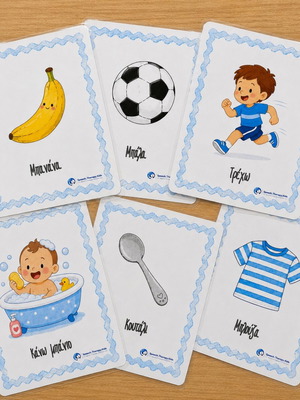 The First Vocabulary Educational Card Set for Children