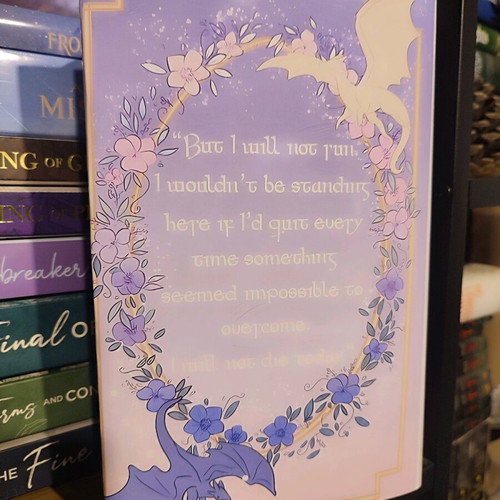 Fourth Wing dust jacket for hardback edition new
