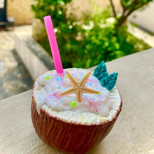 Decorative Coconut Cocktail Handmade