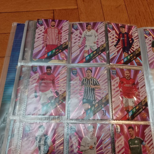 Panini FIFA 365 Adrenalyn XL 2024 album used