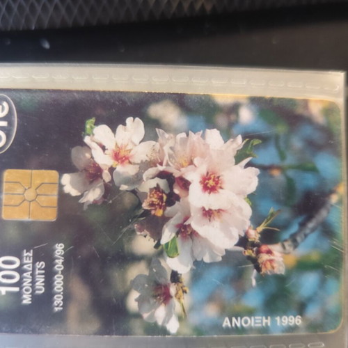 Phone Card Spring 1996 like new