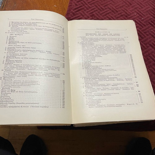 Therapeutic Clinical Lessons Ferdinand Hoff like new