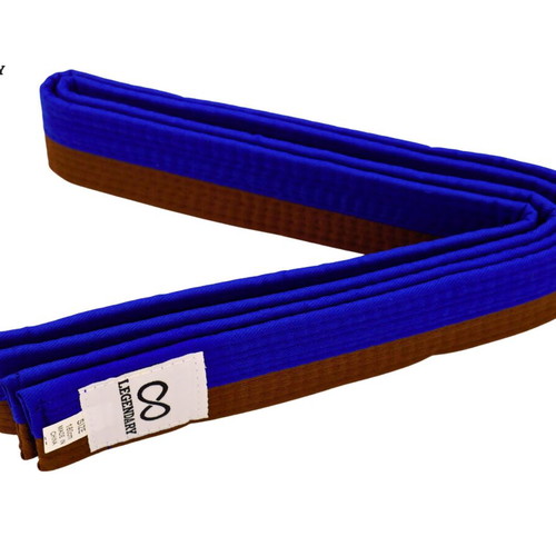 Legendary Blue/Brown Martial Arts Belt new