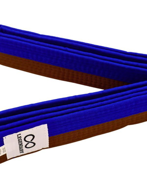 Legendary Blue/Brown Martial Arts Belt new