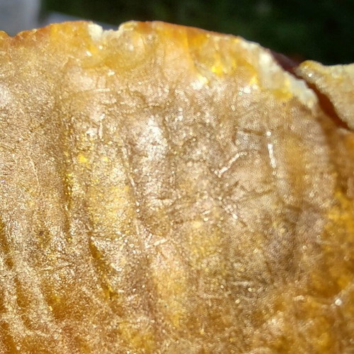 Sea amber like new