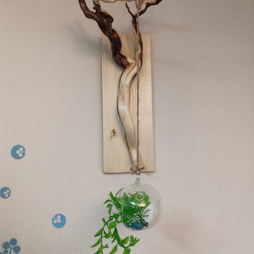 Handcrafted Wall-Mounted Forest Root Plant Hanger new