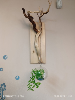 Handcrafted Wall-Mounted Forest Root Plant Hanger new