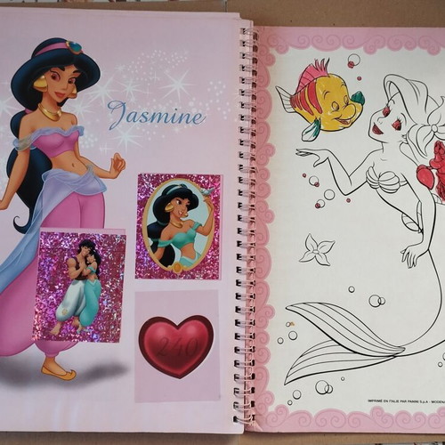 Panini Disney Princess Sticker Album used French edition