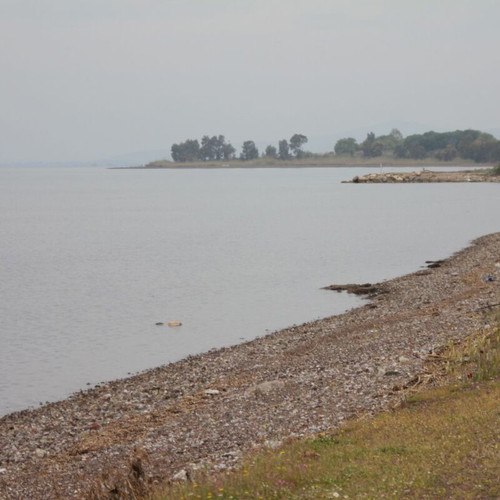 Land plot 1,000 sq.m. in Fthiotida, Echinaion, residential area