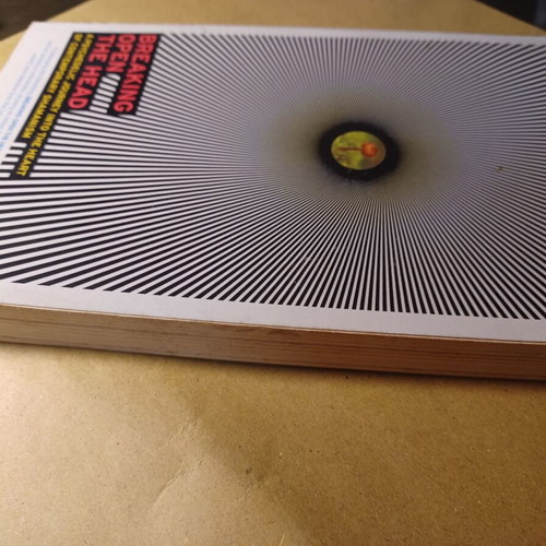 Breaking Open The Head by Daniel Pinchbeck like new, English