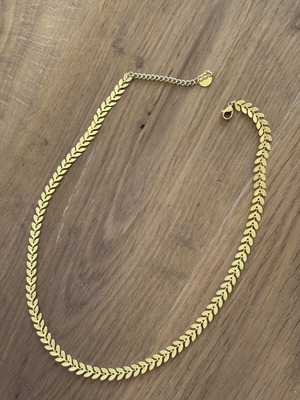 Gold Stainless Steel Necklace like new