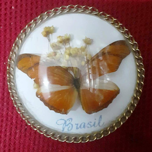 Vintage Jewelry Boxes Set of 2 with Real Butterflies from Brazil like new