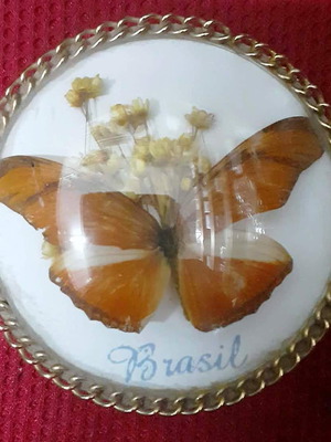 Vintage Jewelry Boxes Set of 2 with Real Butterflies from Brazil like new