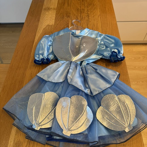 Shell carnival costume for girls like new, age 5-7