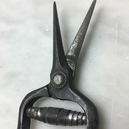 Vintage agricultural tools with grafting knife, farmer's pocket knife and pruning shears