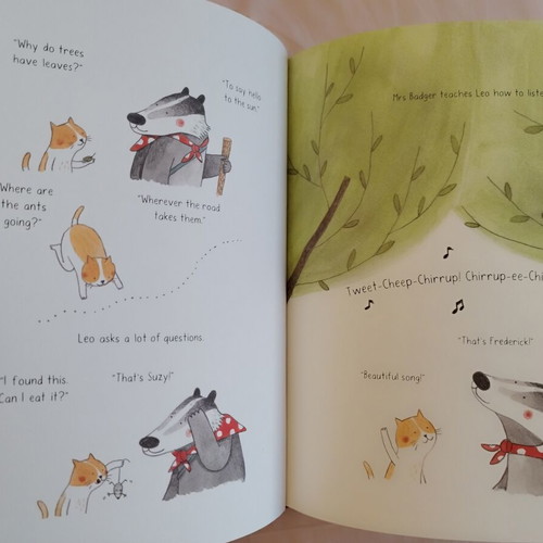 Up the Mountain by Marianne Dubuc like new, English children's book