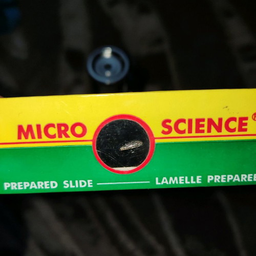 Children's microscope used with zoom x100, x200, x450, plastic
