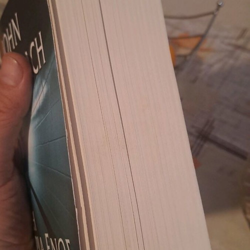 The Story of a Madman book like new