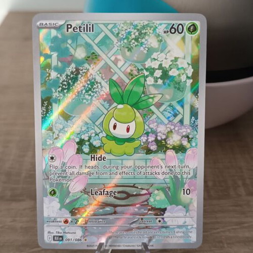 Petilil Illustration Rare Black Bolt Pokémon TCG card new