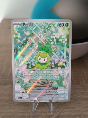 Petilil Illustration Rare Black Bolt Pokémon TCG card new