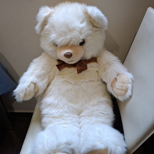 Large teddy bear like new
