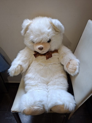 Large teddy bear like new