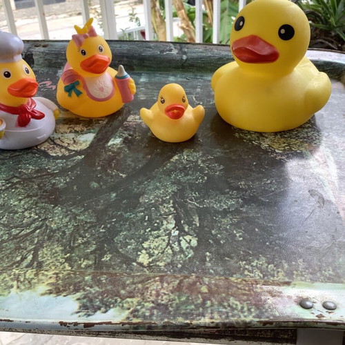 Baby bath ducks used
