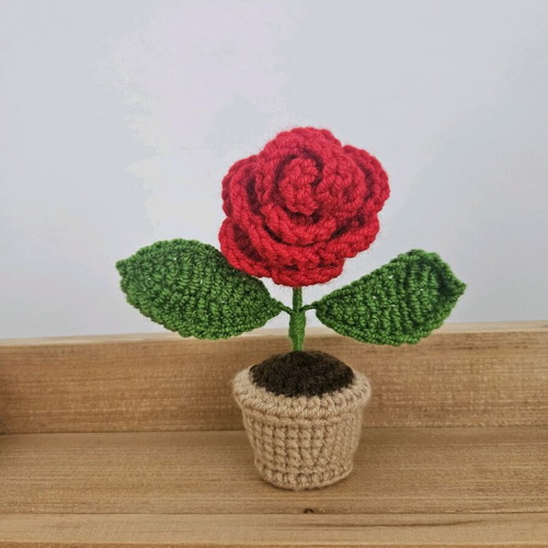 Red rose plant in pot like new, desk decoration