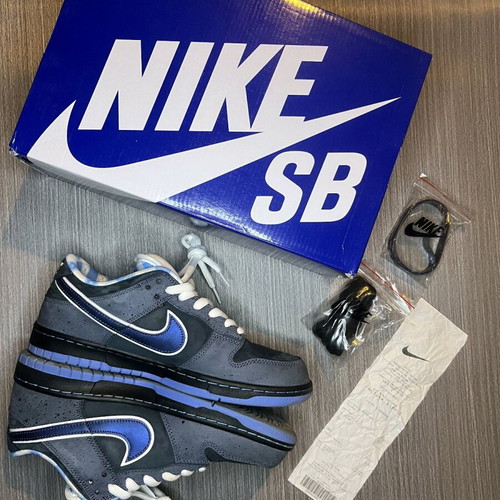 Nike SB Dunk Low Blue/Gray like new size 43 with box and extra laces