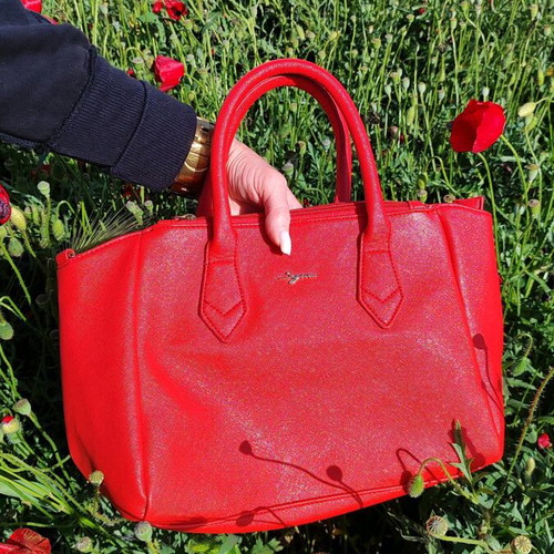 Red Segue bag