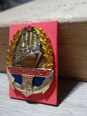 Soviet Union Badge with Warship Base, new, 1980s