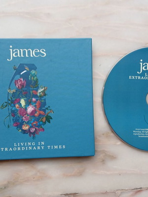 James Living In Extraordinary Times Deluxe CD like new, rock
