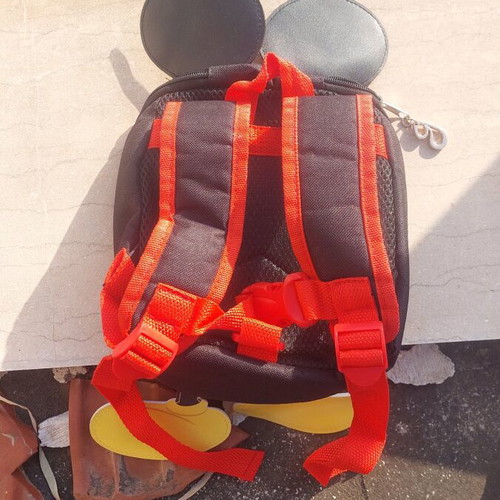 Mickey small bag for daycare or walk in good condition