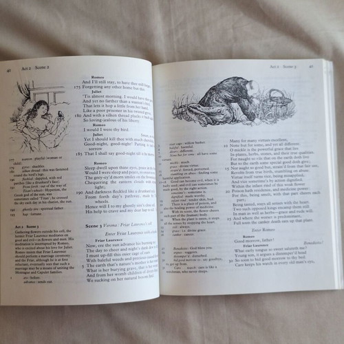 Oxford School Shakespeare Romeo and Juliet book like new, English