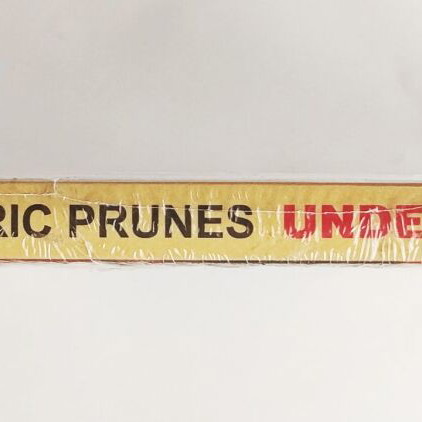 The Electric Prunes Underground notebook new