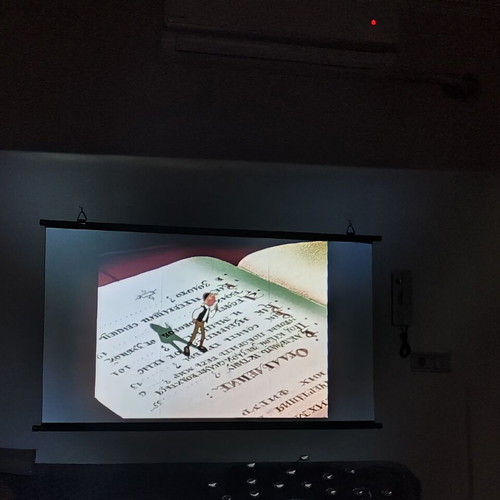 Πανί οθόνης προβολής για τοίχο