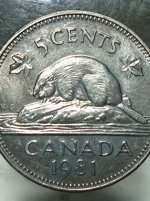 5 Cents Canada 1981 used with Elizabeth II portrait