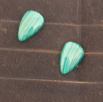 Malachite earrings silver stud new