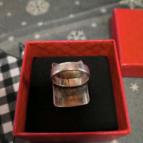 925 Silver Ring with Bronze Element like new