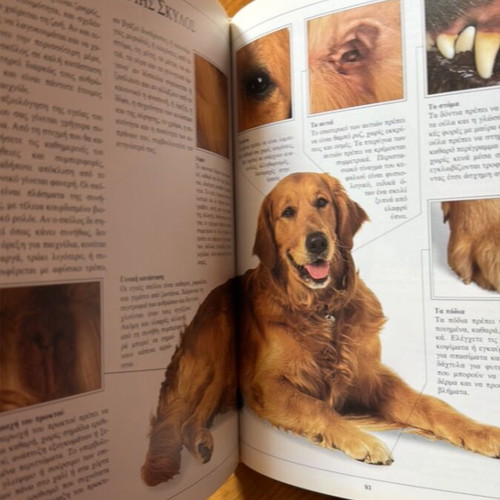 The Care of the Dog book like new, hardcover, 190 pages