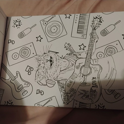 Album with humorous cards and paints new