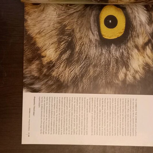 Fterotos Kosmos photography book used