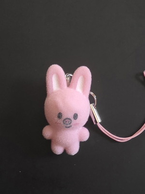 Stray Kids SKZOO Secret Mini Charm Dwaekki new, official