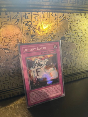 Destiny board RP02 new