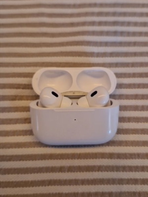 Bluetooth earbuds used with Lightning charging case
