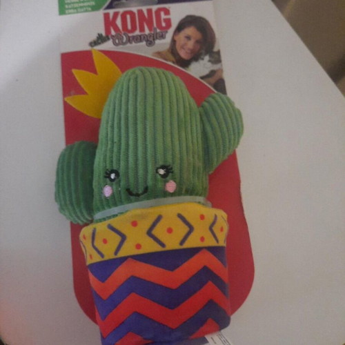 KONG Wrangler Cactus cat toy with catnip, new