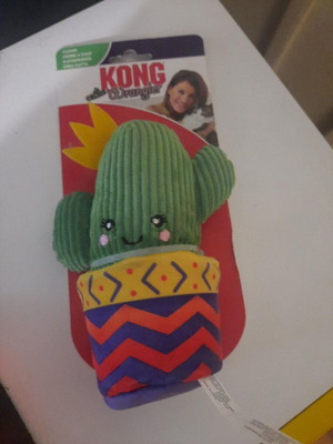 KONG Wrangler Cactus cat toy with catnip, new