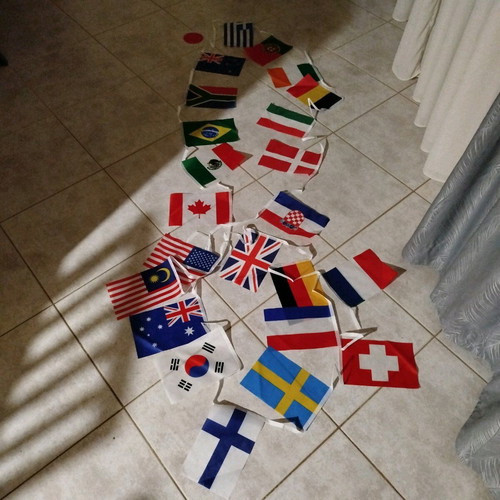 Hanging flags new, pack of 24 different polyester flags