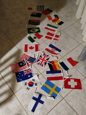 Hanging flags new, pack of 24 different polyester flags