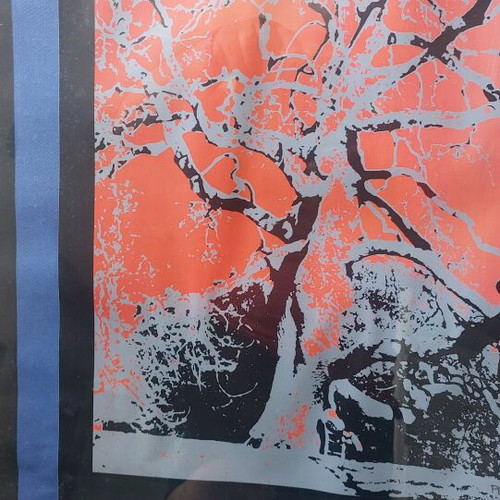 Reggina Koukou artwork rare silk screen print